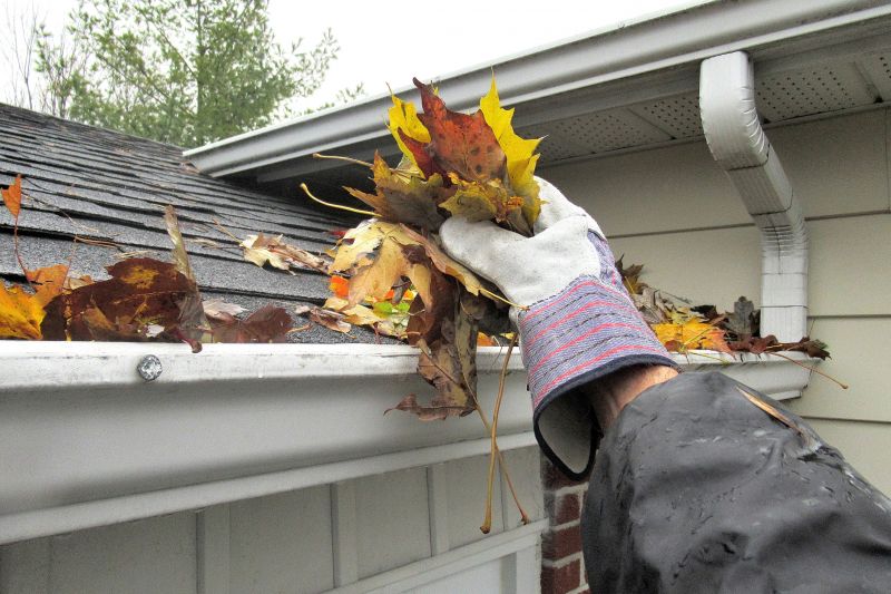 Clean Gutters on Residential Property